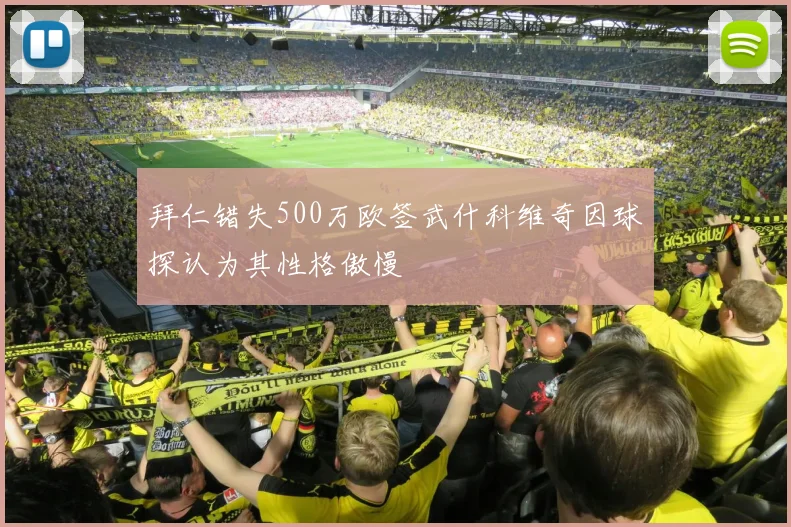 拜仁错失500万欧签武什科维奇因球探认为其性格傲慢
