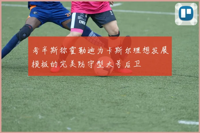 考辛斯称霍勒迪为卡斯尔理想发展模板的完美防守型大号后卫