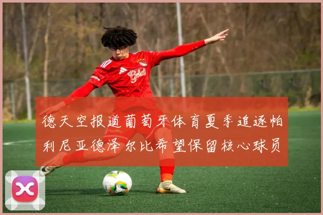 德天空报道葡萄牙体育夏季追逐帕利尼亚德泽尔比希望保留核心球员